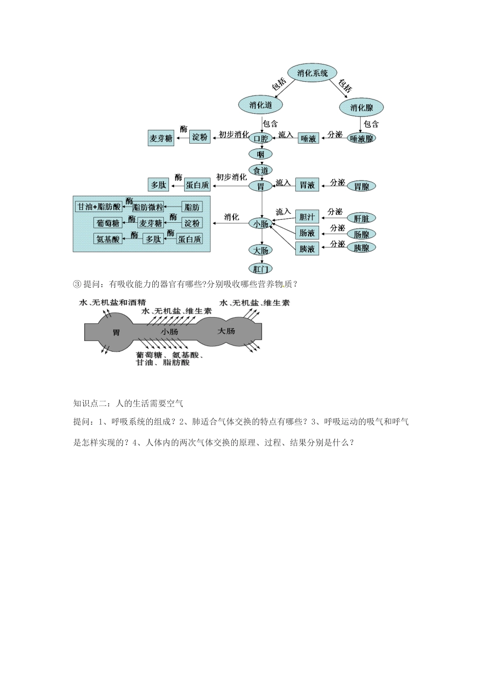 八年级生物下册 第4专题 生物圈中的人—新陈代谢复习教案2 济南版_第3页