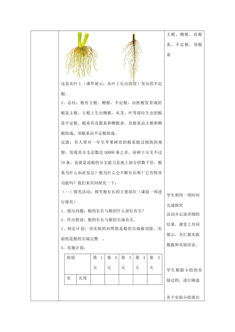 八年级生物上册 4.1.5《根的结构与功能》教案 （新版）济南版-（新版）济南版初中八年级上册生物教案_第2页