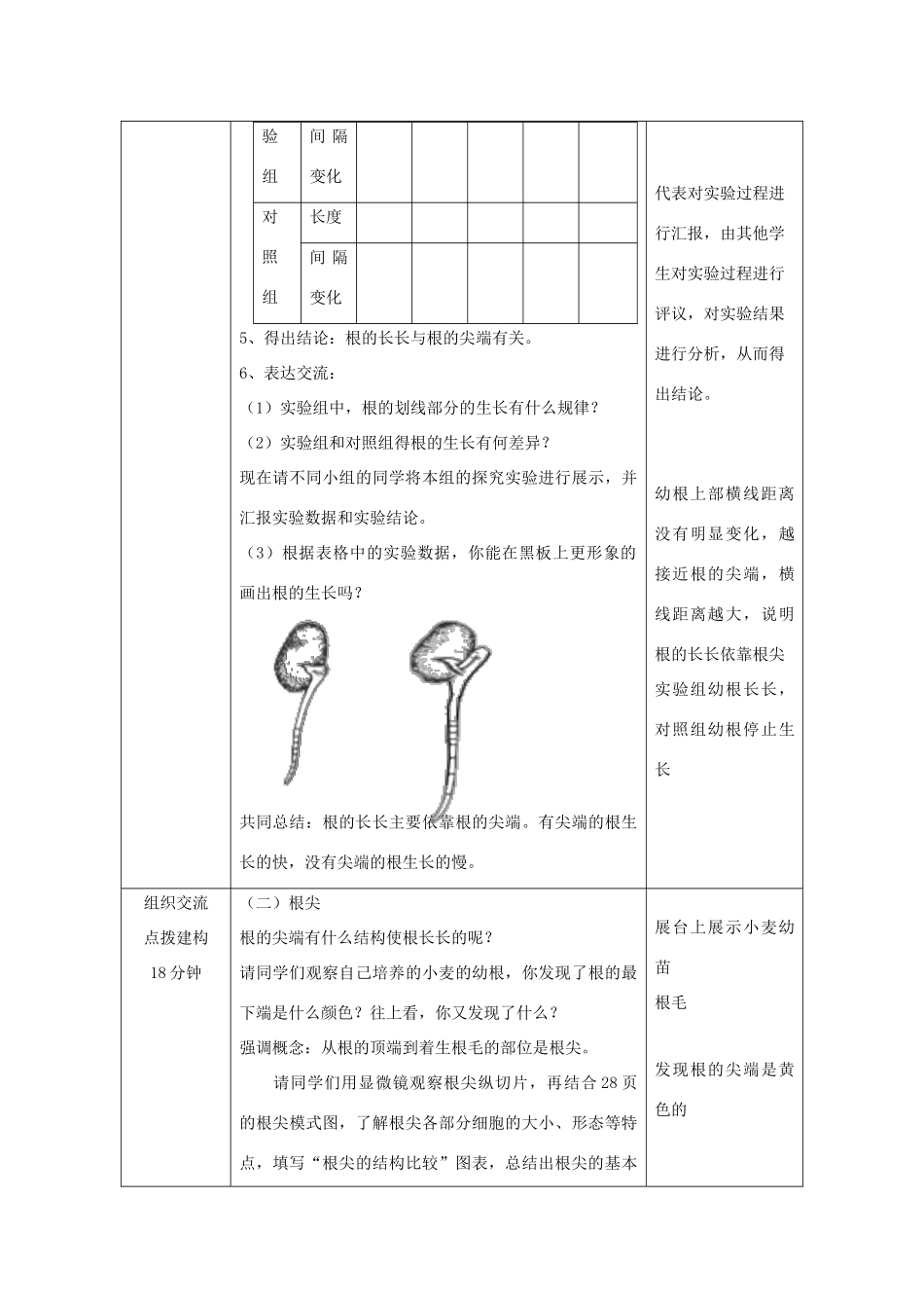 八年级生物上册 4.1.5《根的结构与功能》教案 （新版）济南版-（新版）济南版初中八年级上册生物教案_第3页