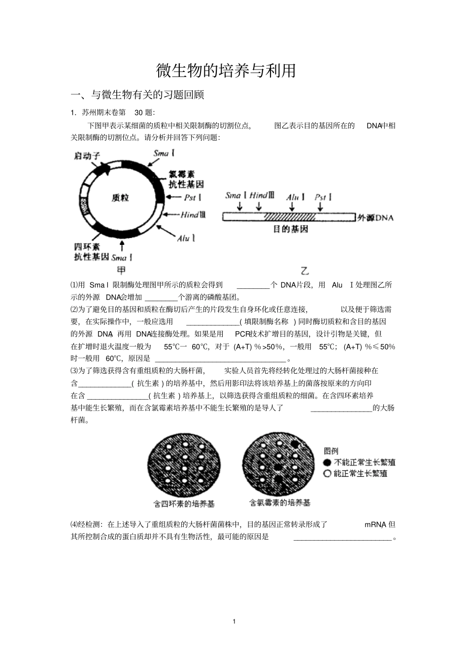 微生物的培养与利用_第1页