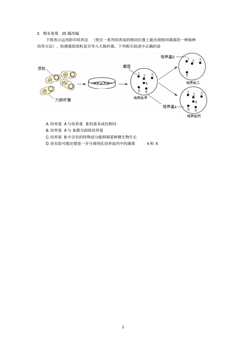 微生物的培养与利用_第2页