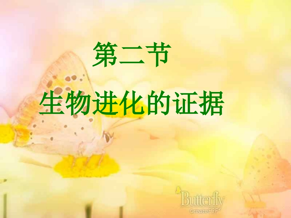 八年级生物下册 5.1.2 生物进化的证据课件 济南版_第1页