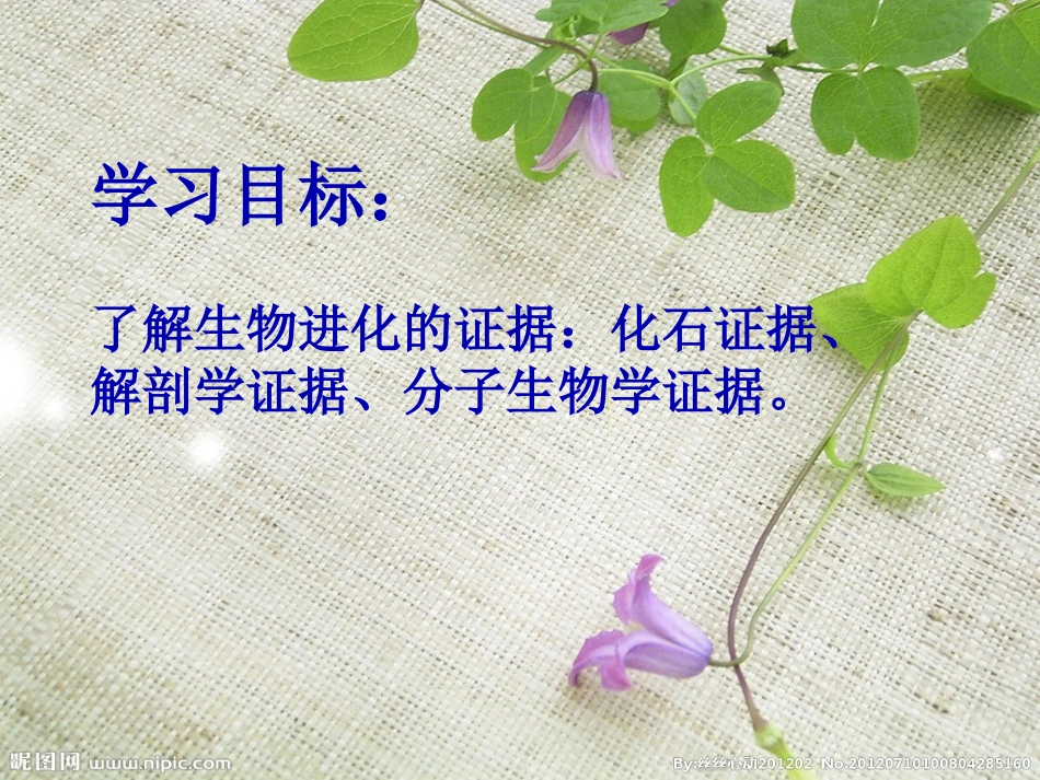 八年级生物下册 5.1.2 生物进化的证据课件 济南版_第2页