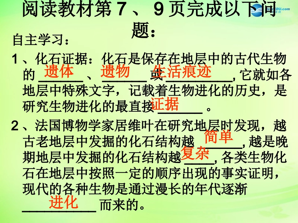 八年级生物下册 5.1.2 生物进化的证据课件 济南版_第3页