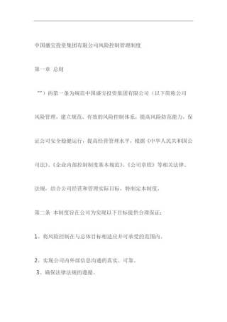 中国盛宝投资集团有限公司风险控制管理制度