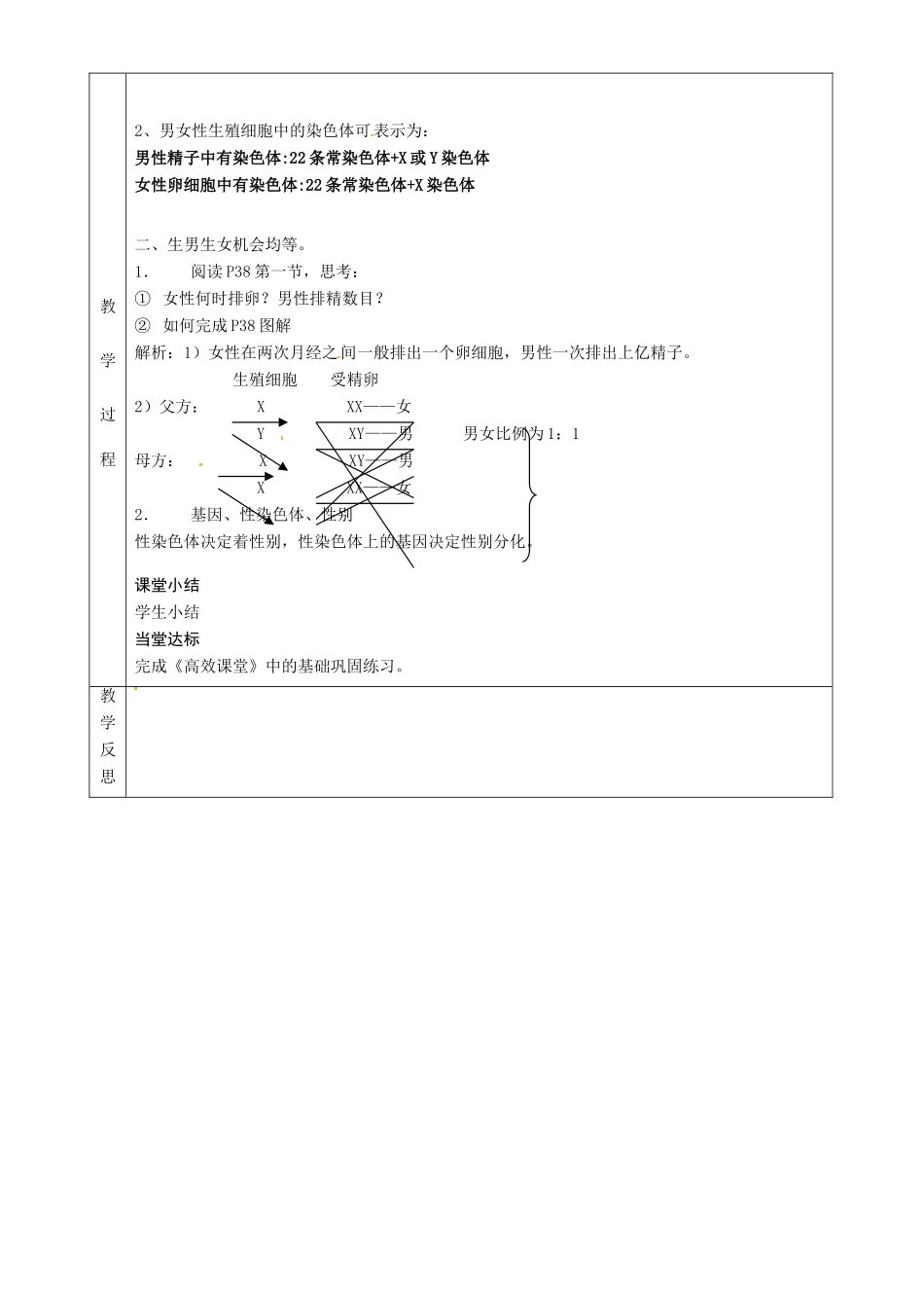 湖南省茶陵县世纪星实验学校八年级生物下册《第四节 人的性别遗传》教案 新人教版_第2页