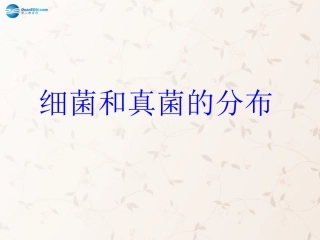 八年级生物上册 5.4.1 细菌和真菌的分布课件4 （新版）新人教版