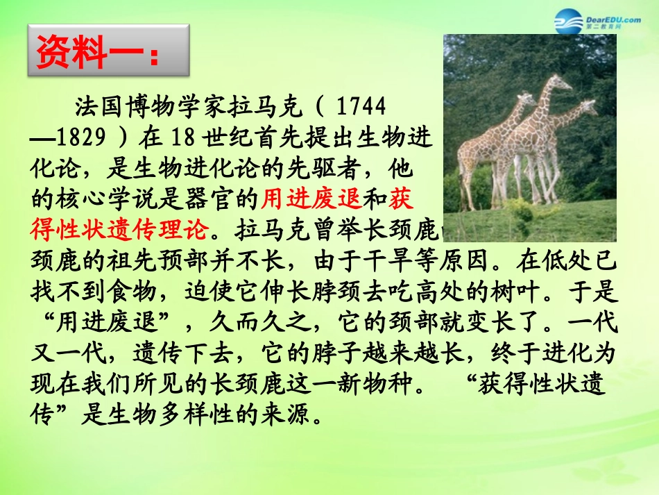 江苏省昆山市锦溪中学八年级生物下册 22.3 生物进化的原因课件 苏科版_第2页
