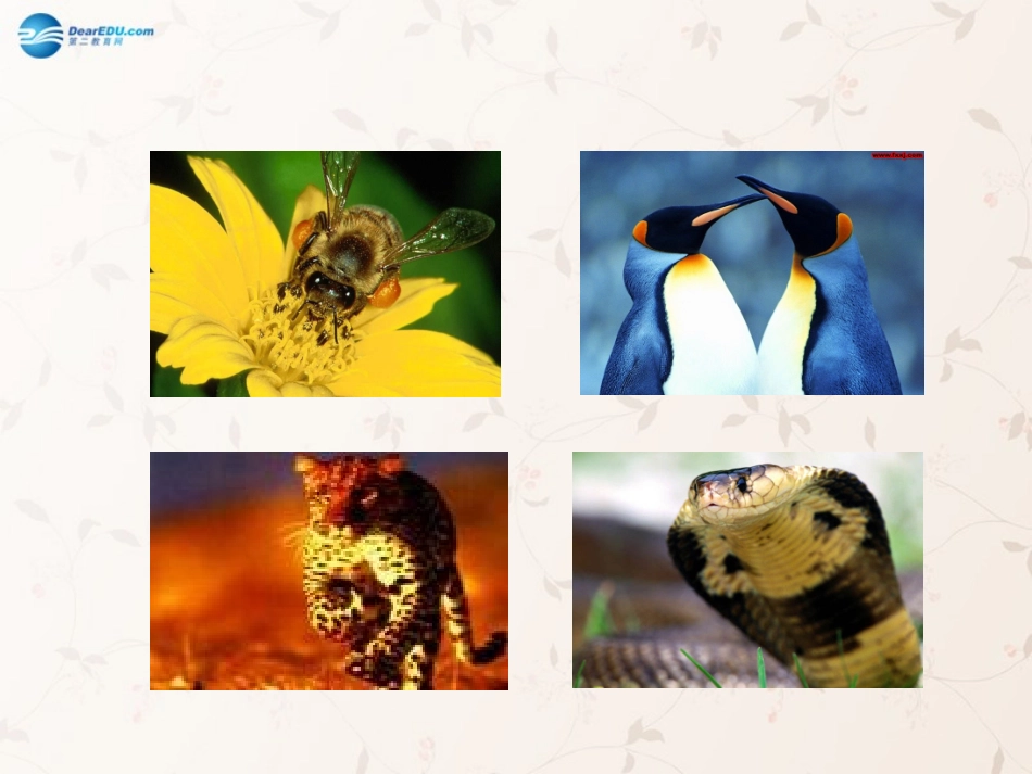 八年级生物上册 5.3 动物在生物圈中的作用课件3 （新版）新人教版_第2页