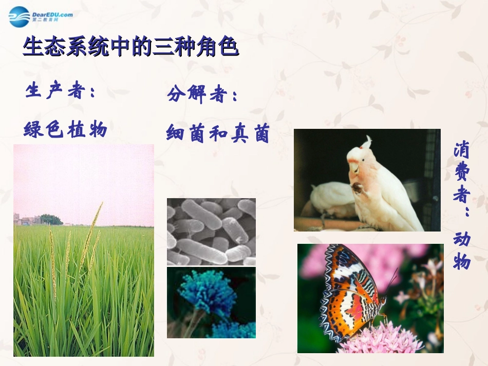 八年级生物上册 5.3 动物在生物圈中的作用课件3 （新版）新人教版_第3页