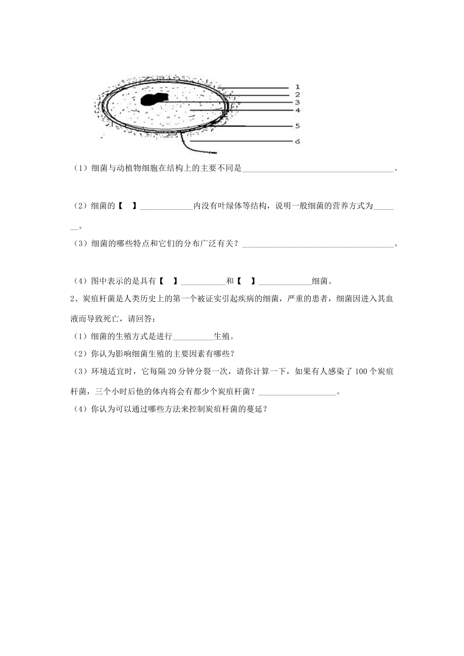 八年级生物上册 5.4.2 细菌练习题2（无答案）（新版）新人教版_第2页