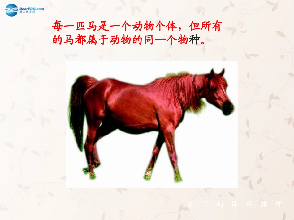 八年级生物上册 6.1.2 从种到界课件2 （新版）新人教版_第2页