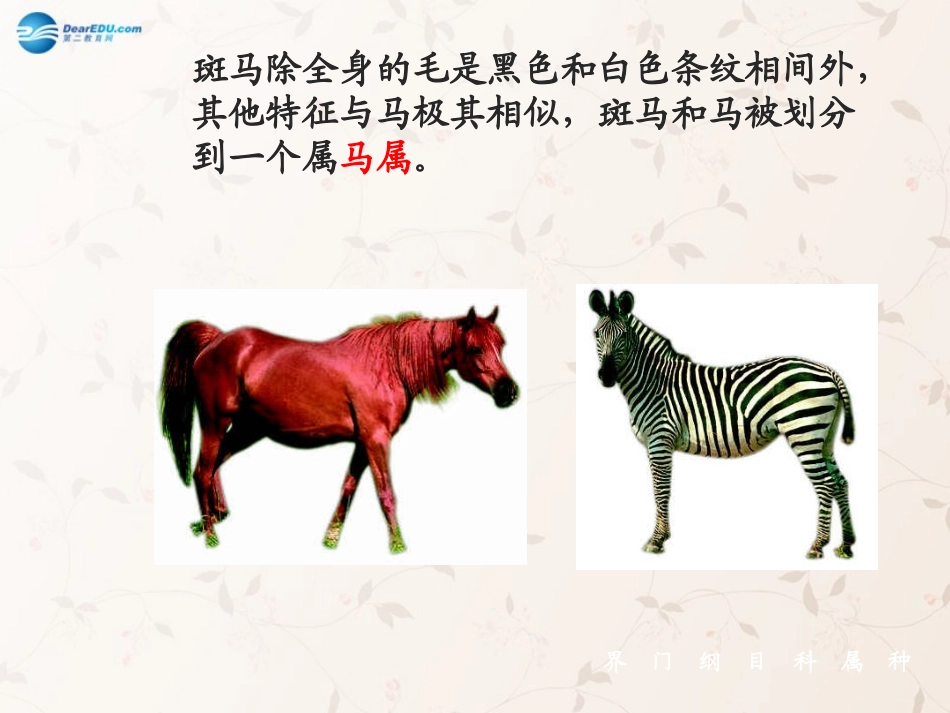 八年级生物上册 6.1.2 从种到界课件2 （新版）新人教版_第3页