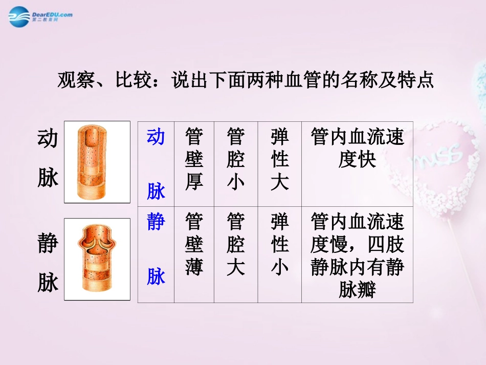 湖南省长沙市长郡芙蓉中学七年级生物下册《4.4 人体内物质的运输》复习课件 新人教版_第3页