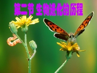 八年级生物下册 5.1.3 生物进化的历程课件1 济南版