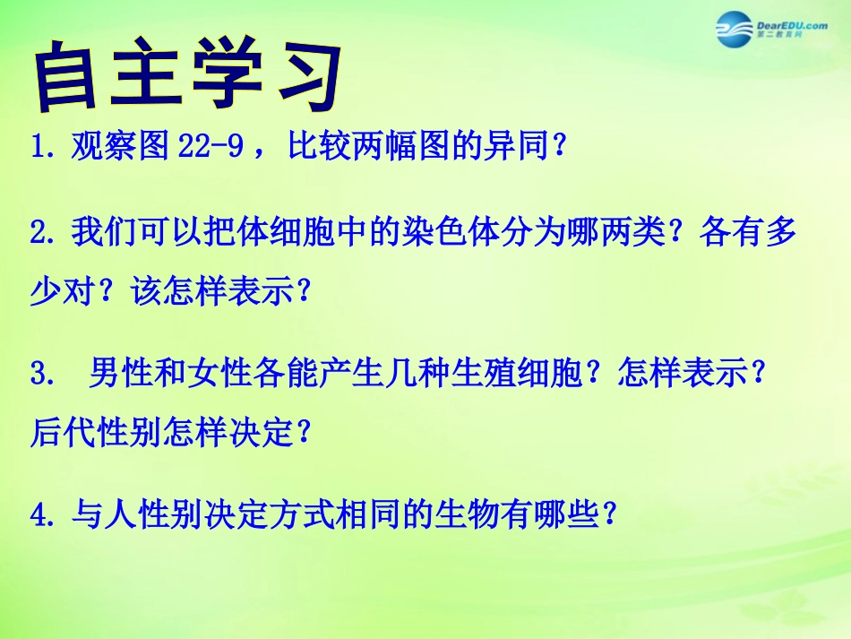 八年级生物下册 第二十二章 第3节《人的性别决定》课件 （新版）苏教版_第3页