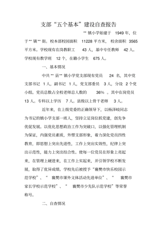 支部“五个基本”建设自查报告