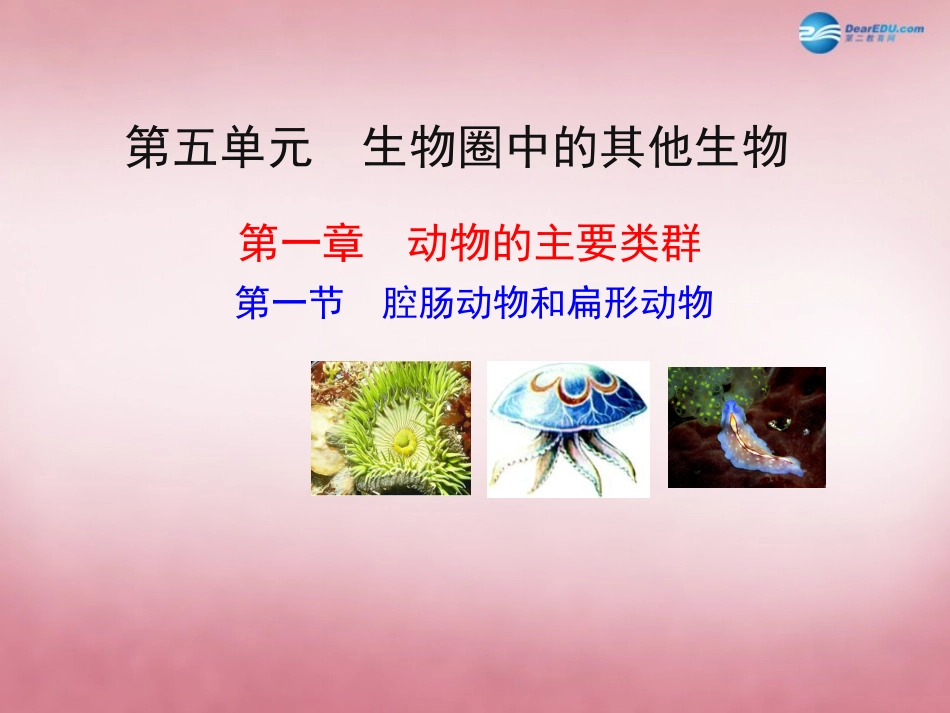 八年级生物上册 5.1.1 腔肠动物和扁形动物课件 （新版）新人教版_第1页