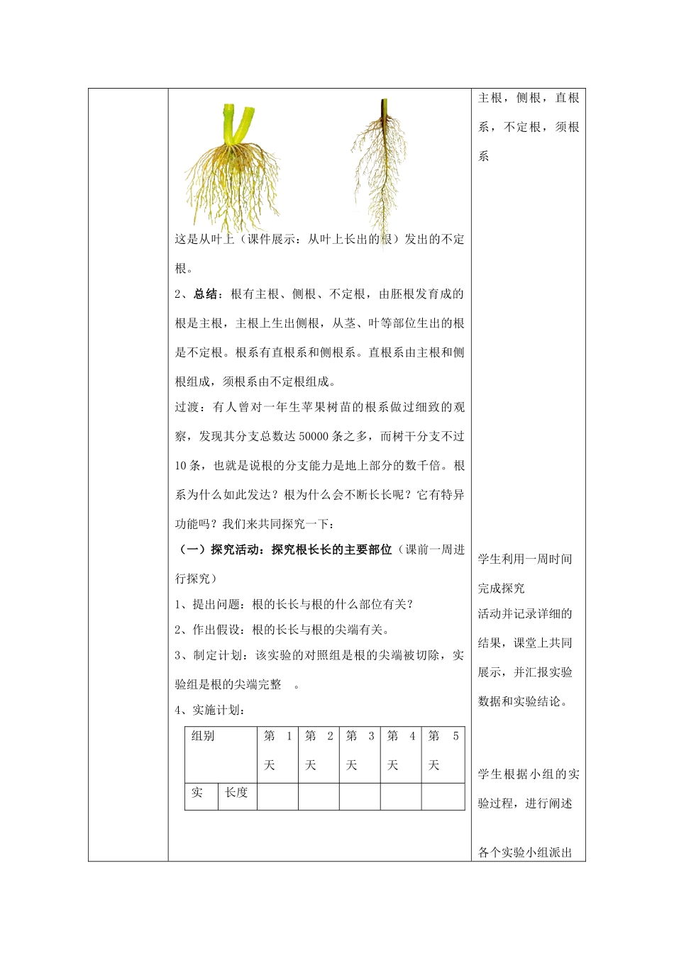 八年级生物上册 第四单元 第一章 第5节《根的结构与功能》教案 （新版）济南版-（新版）济南版初中八年级上册生物教案_第2页