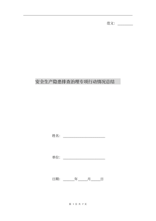 安全生产隐患排查治理专项行动情况总结