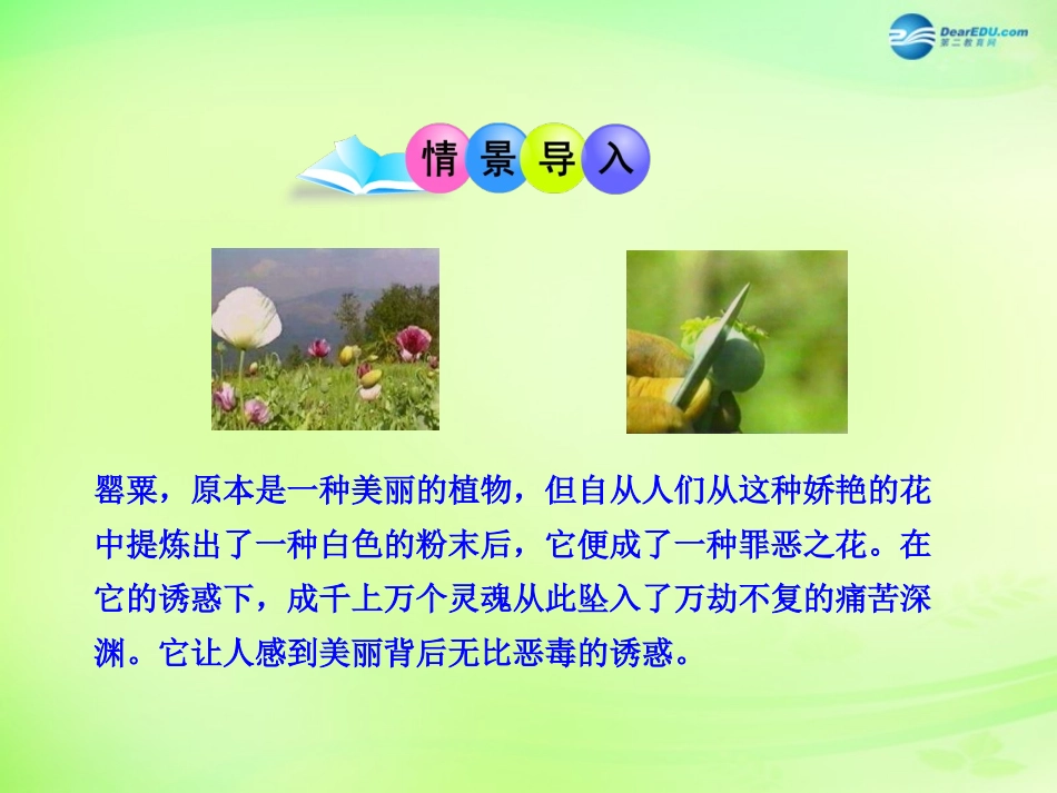 八年级生物下册 第二十六章 第2节《拒绝毒品》课件 （新版）苏教版_第2页