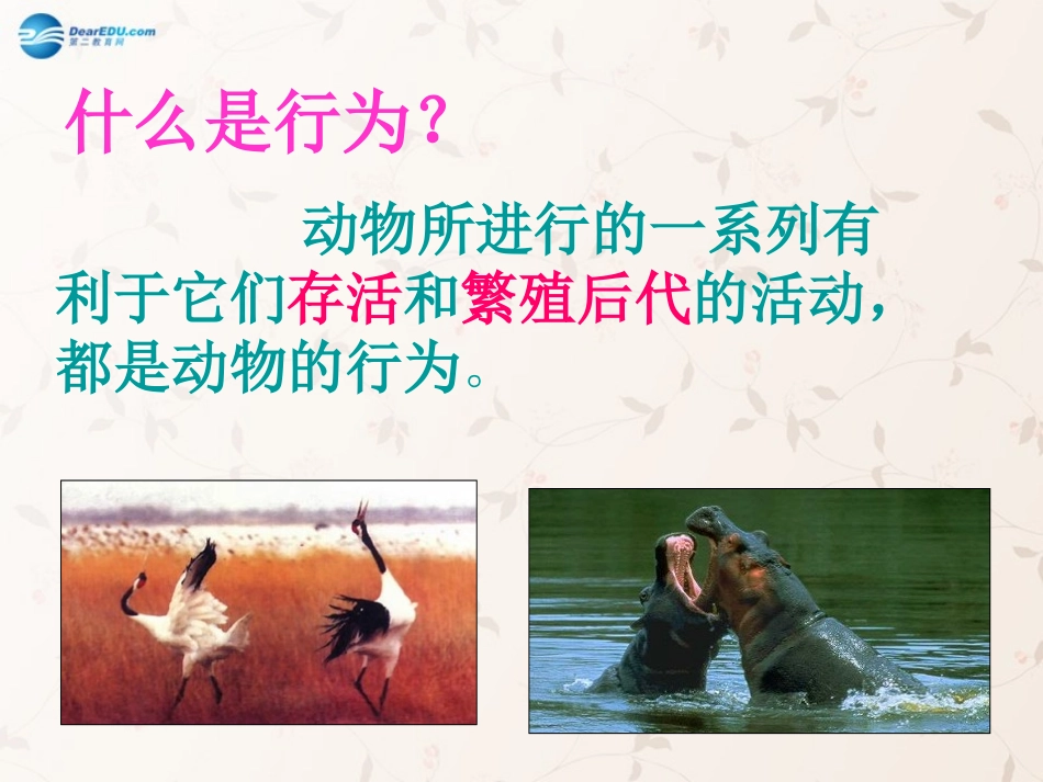 八年级生物上册 5.2.2 先天性行为和学习行为课件2 （新版）新人教版_第2页