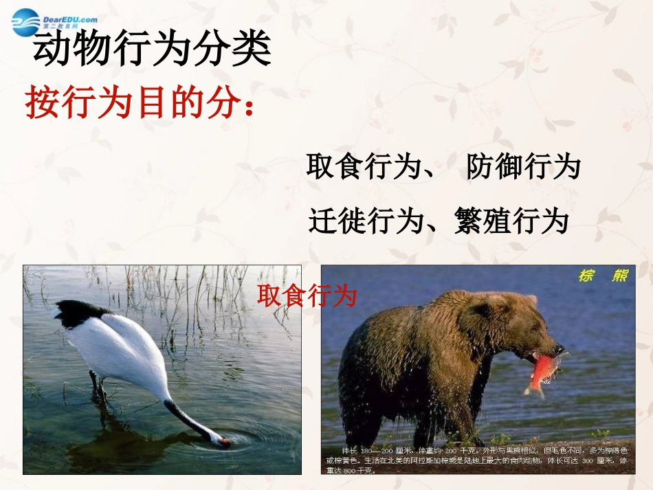 八年级生物上册 5.2.2 先天性行为和学习行为课件2 （新版）新人教版_第3页