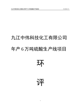 6万吨硫酸生产线（硫铁矿）报告书