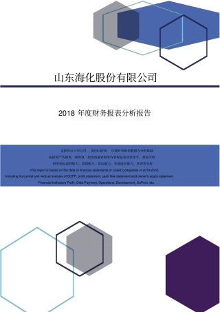 山东海化股份有限公司2018年度财务报表分析报告