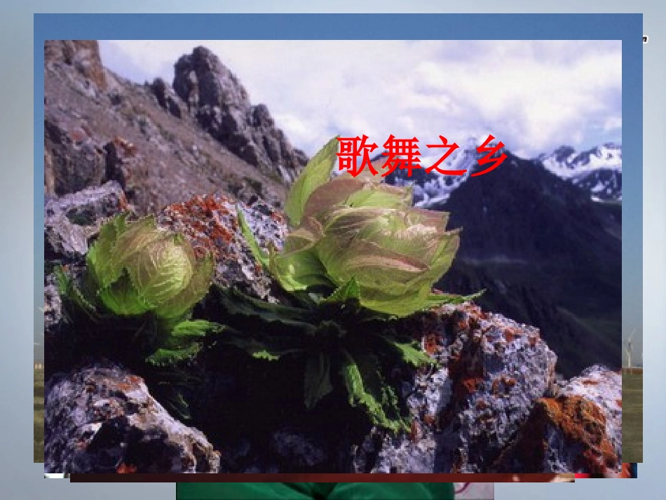 八年级地理下册 第六章 第四节《西部开发的重要阵地—新疆维吾尔》课件 新人教版_第1页