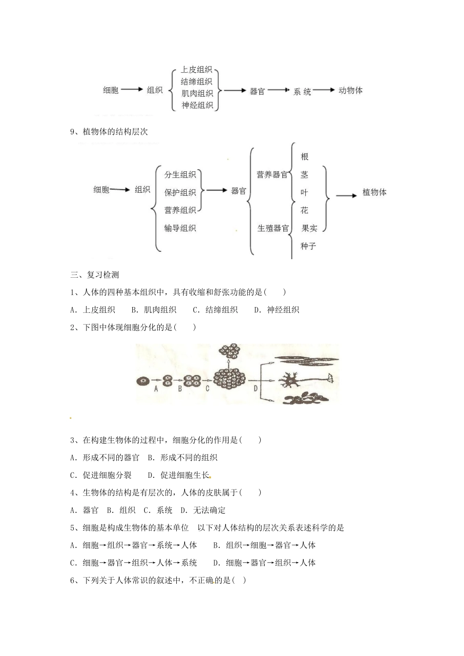（适用期末复习）七年级生物上册 第2单元 第4章 生物体的结构层次教案 北师大版-北师大版初中七年级上册生物教案_第2页