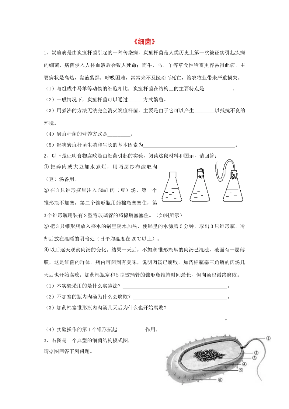 八年级生物上册 5.4.2 细菌练习题3（无答案）（新版）新人教版_第1页