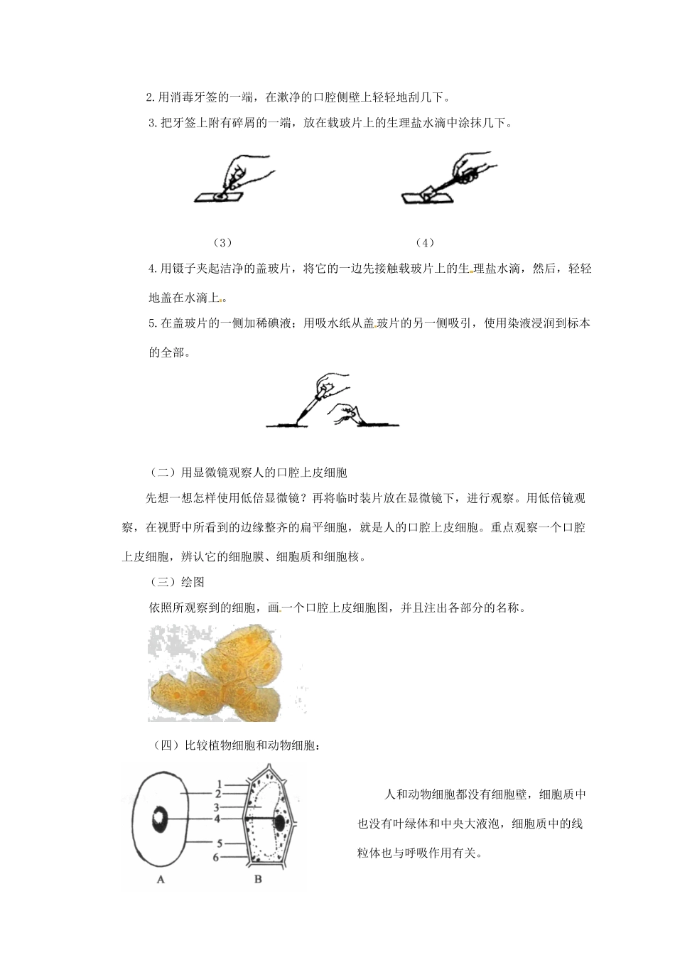江苏省如皋市七年级生物下册 8.1生物体的基本结构教案2 苏科版-苏科版初中七年级下册生物教案_第2页