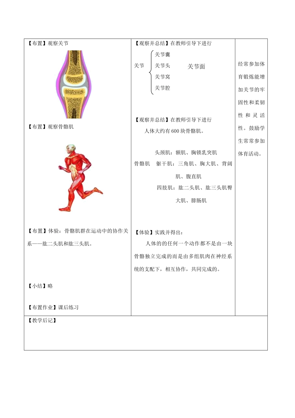 八年级生物上册 6.17.1《人体的运动》第2课时教案 （新版）苏科版-（新版）苏科版初中八年级上册生物教案_第2页