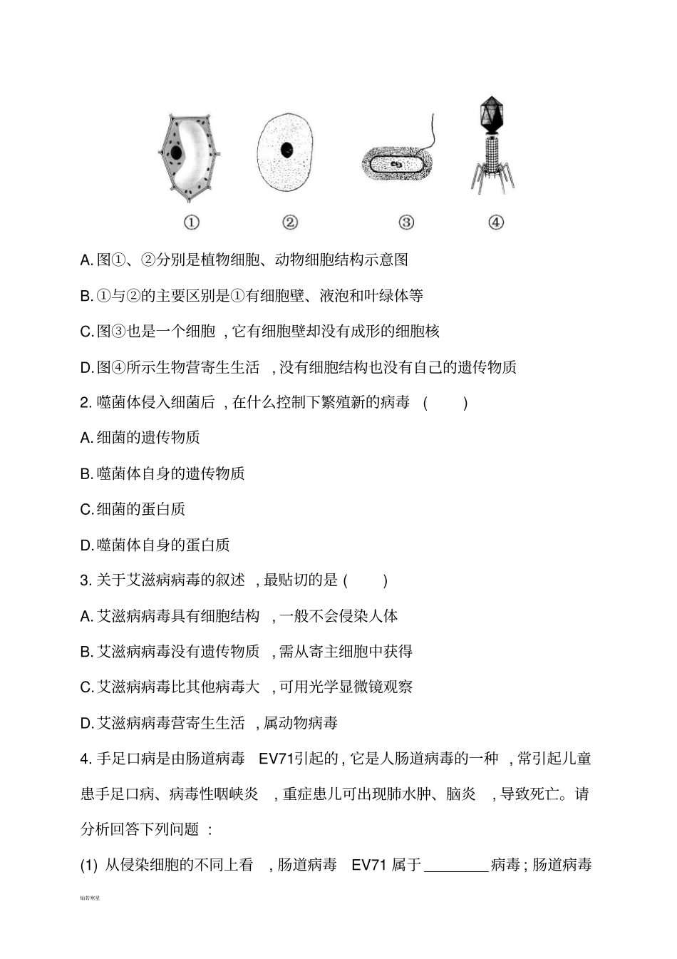 人教版八上生物5.5病毒(习题2带答案)_第3页