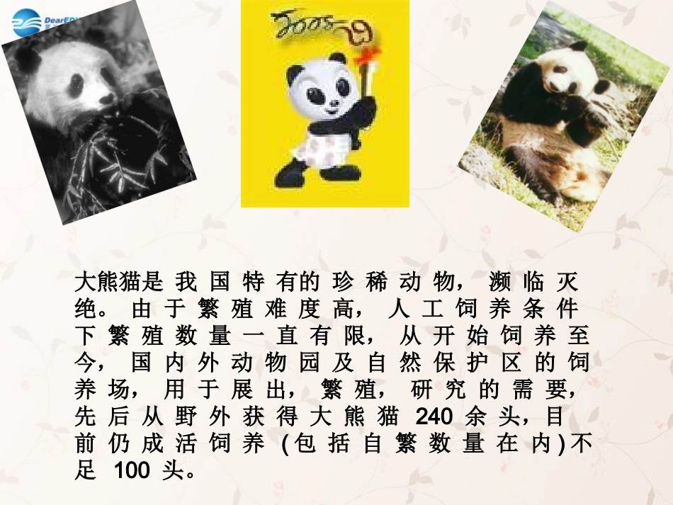 八年级生物上册 6.3 保护生物的多样性课件3 （新版）新人教版_第3页