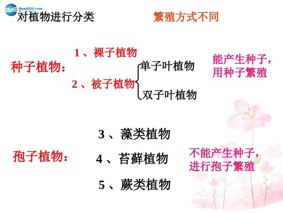 八年级生物下册 第22章 第三节 植物的主要类群课件3 （新版）北师大版_第3页