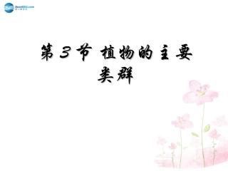 八年级生物下册 第22章 第三节 植物的主要类群课件4 （新版）北师大版