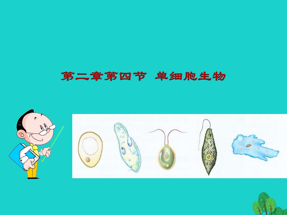 广东省东莞市万江第三中学七年级生物上册 第二单元 第二章 第四节 单细胞生物课件 （新版）新人教版_第1页