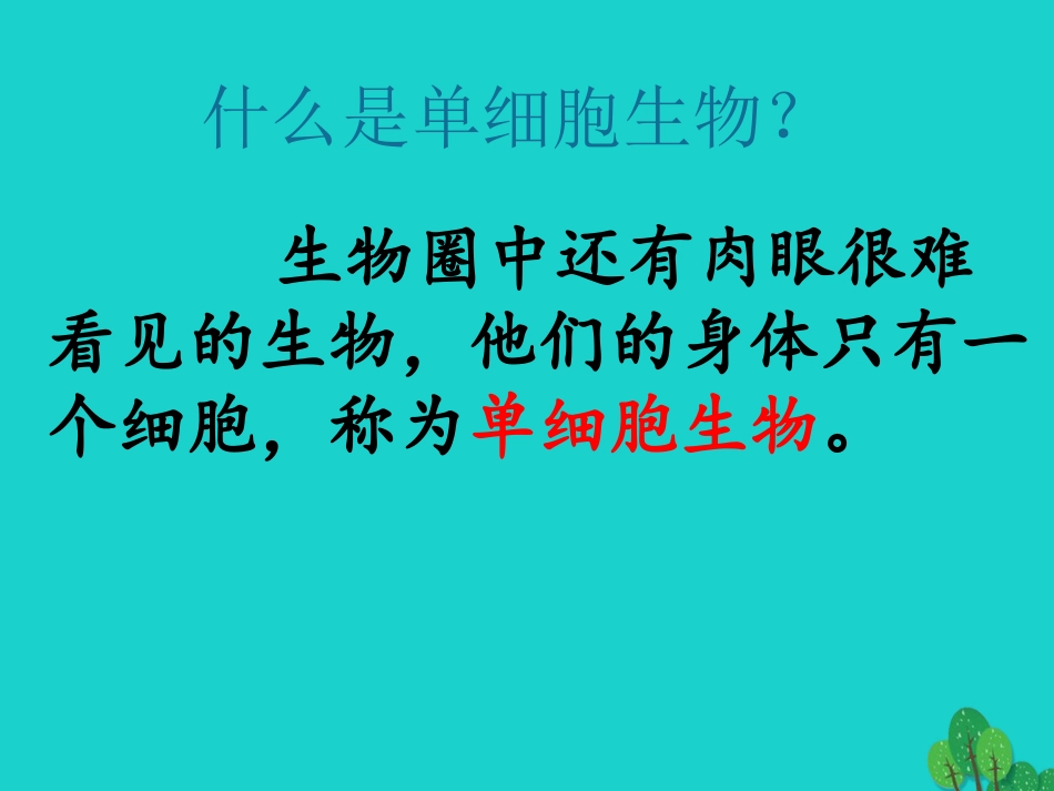 广东省东莞市万江第三中学七年级生物上册 第二单元 第二章 第四节 单细胞生物课件 （新版）新人教版_第3页