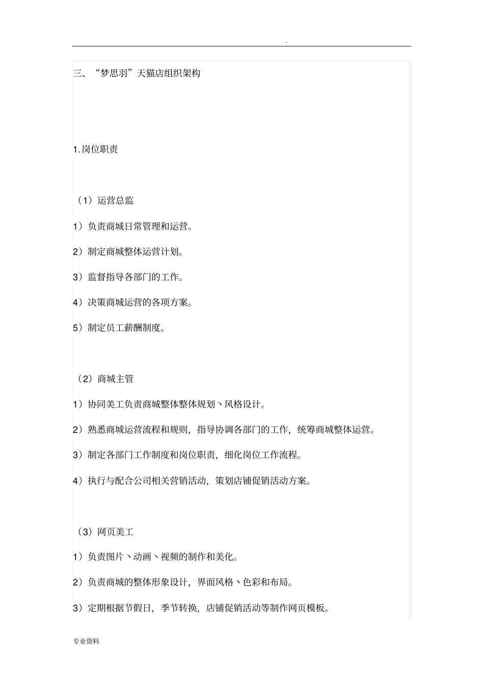 天猫店铺运营计划书_第2页
