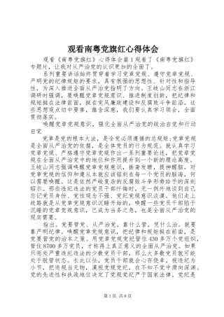 观看南粤党旗红心得体会