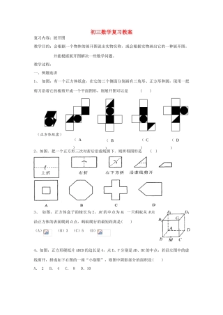 九年级数学 展开图复习教案