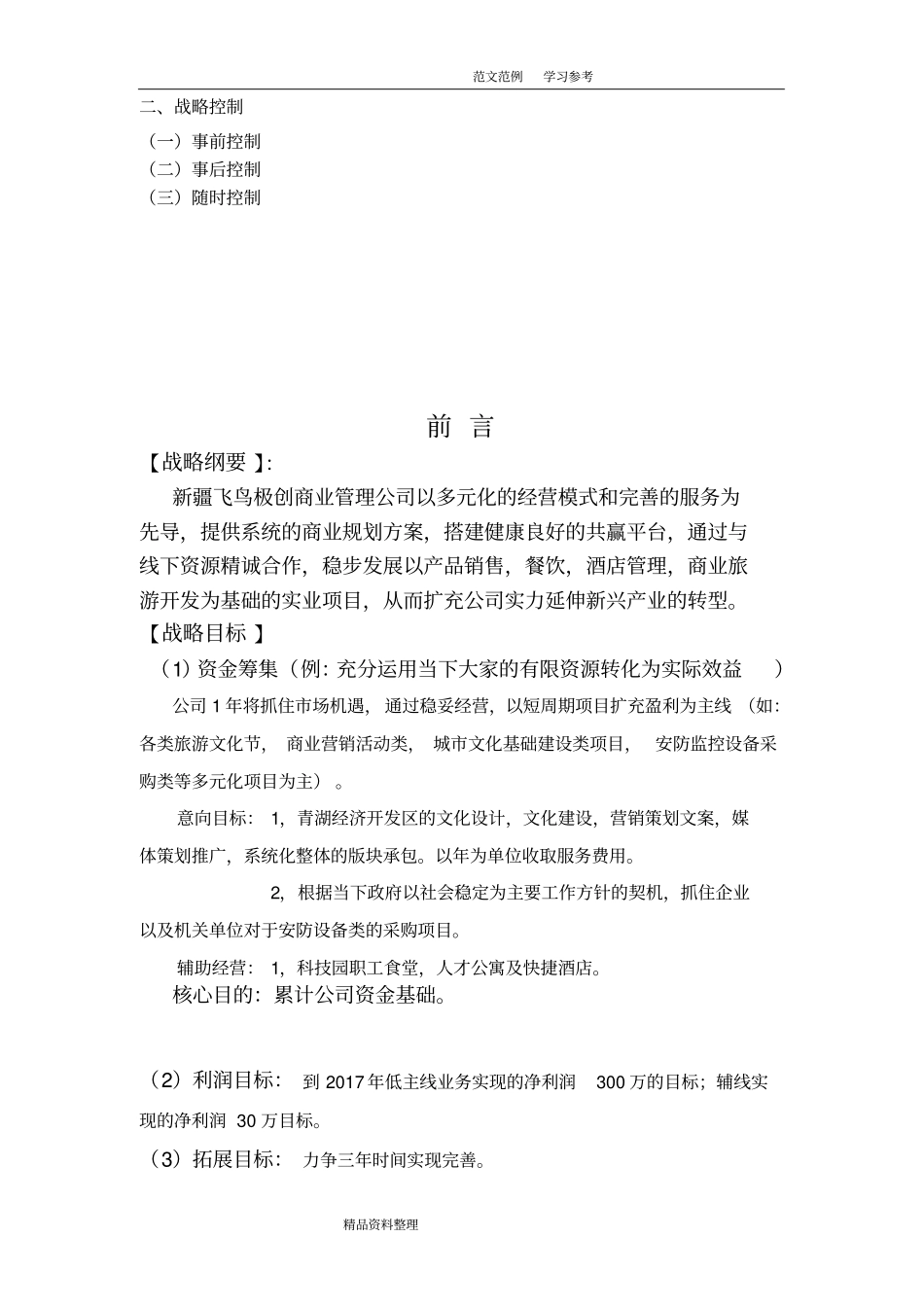 企业发展战略实施计划书_第3页