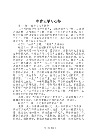 中青班学习心得