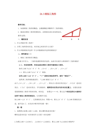 黑龙江省绥化市第九中学九年级数学上册 24.3 相似三角形教案 华东师大版