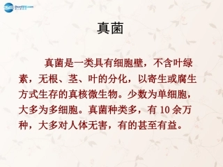 八年级生物上册 5.4.3 真菌课件4 （新版）新人教版