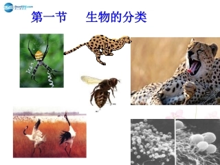 八年级生物下册 第22章 第一节 生物的分类课件2 （新版）北师大版