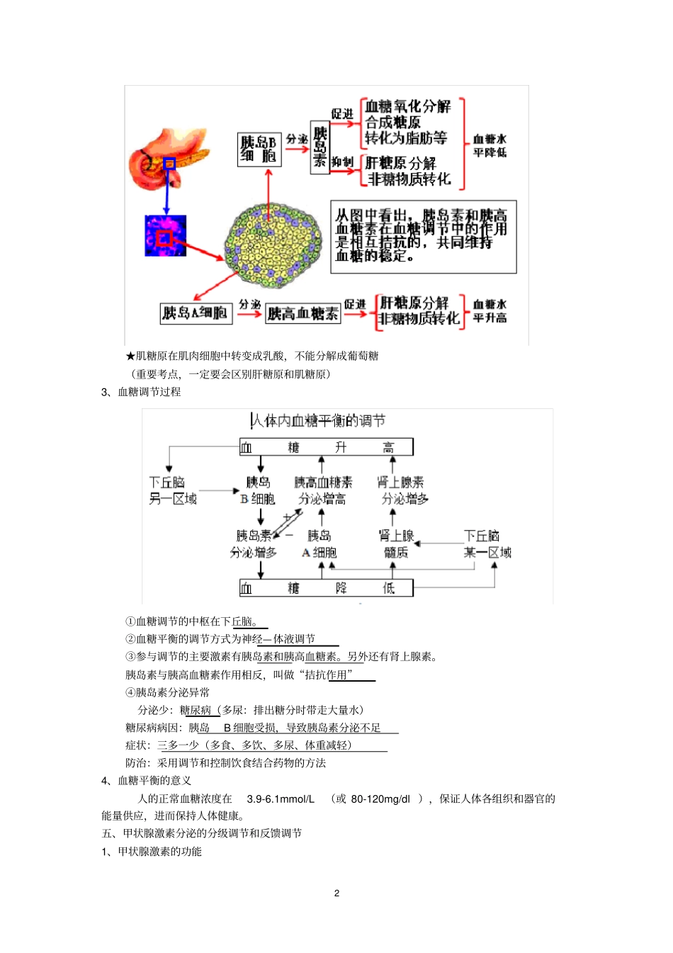 (完整word版)通过激素的调节(知识点笔记)_第2页