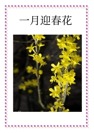 十二月花谣(含图片)